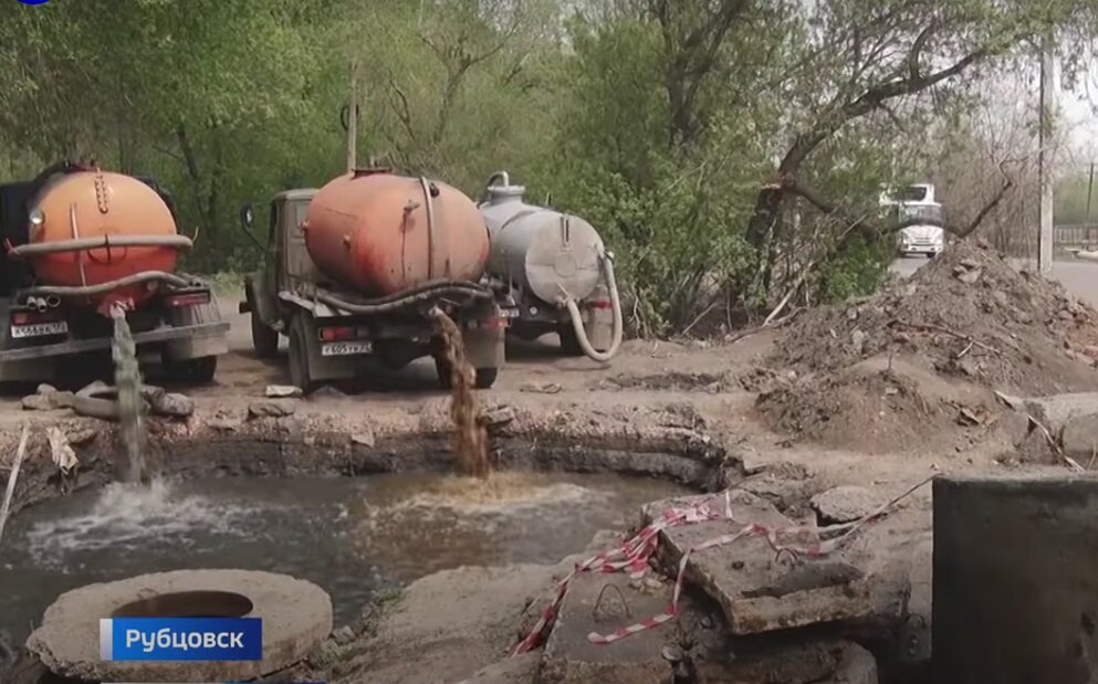 Фото: screenshot сюжета «Вести-Алтай»
