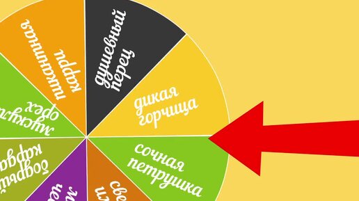 Какая ты сегодня специя?