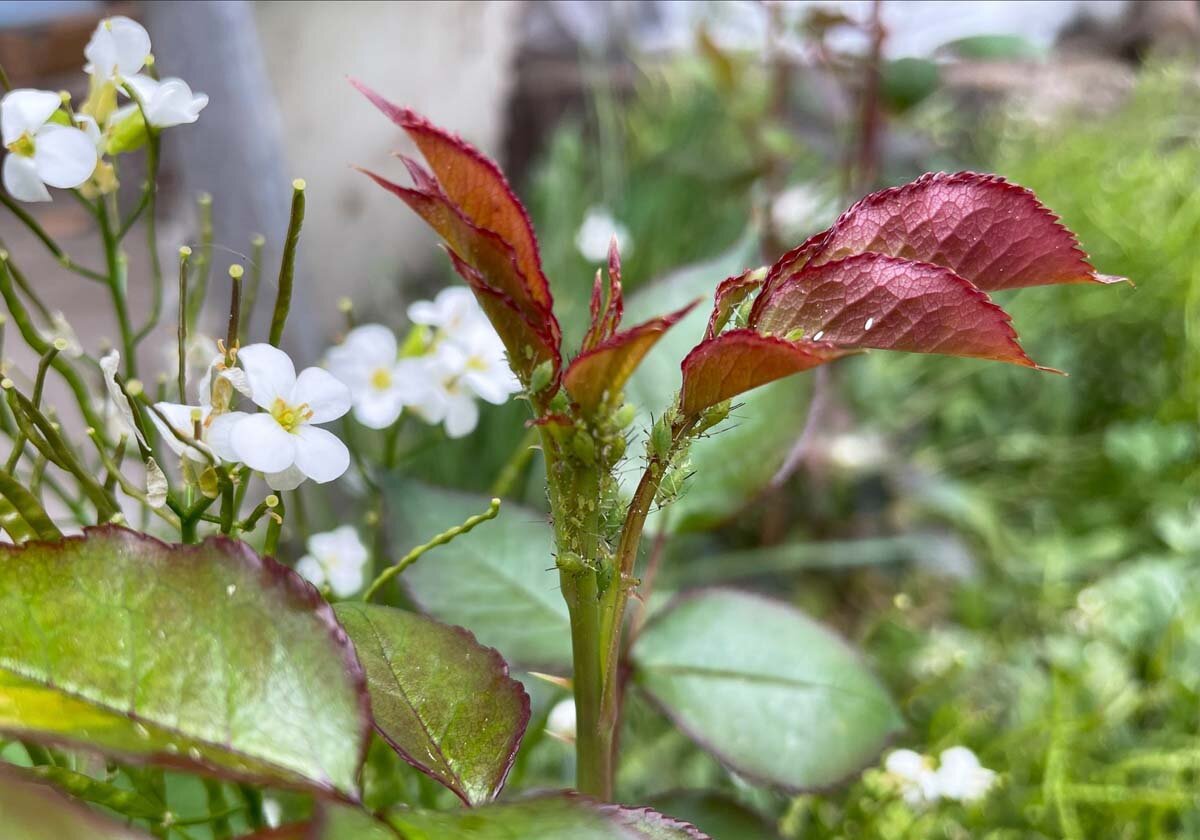 Фото: Виктория Исаева