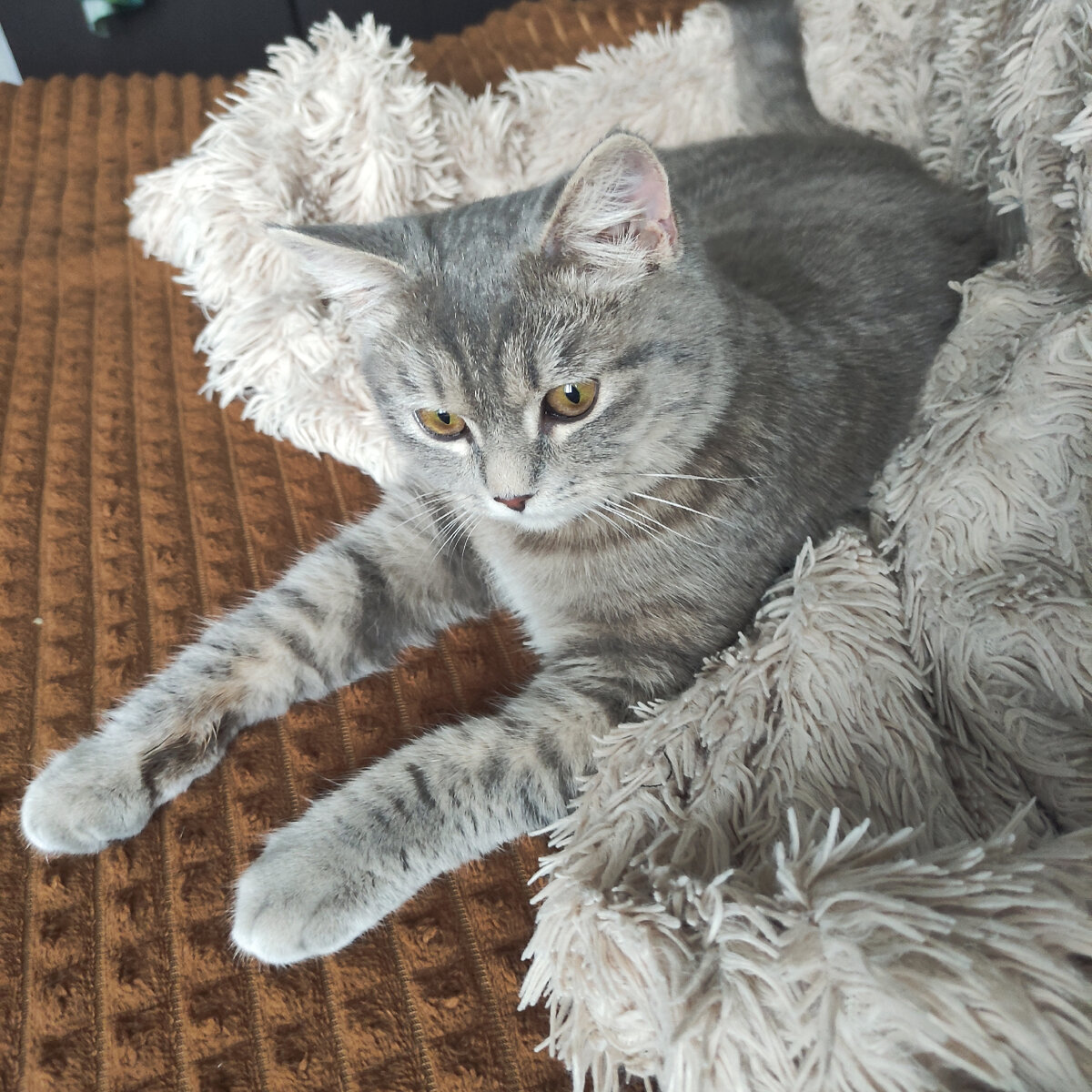 Из личного архива автора. Прибытие. 