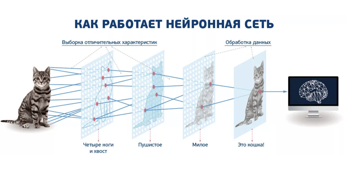 Принцип работы нейросети