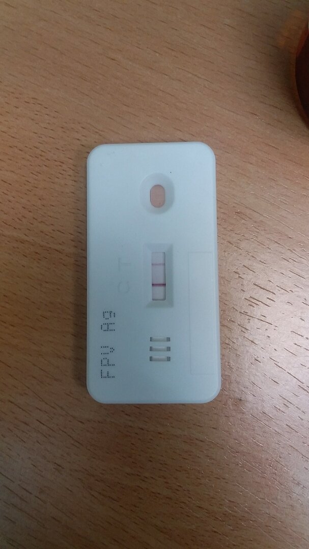 МИССИ В ТЯЖЕЛОМ СОСТОЯНИИ... НУЖНА ПОМОЩЬ... | Благотворительный фонд ...