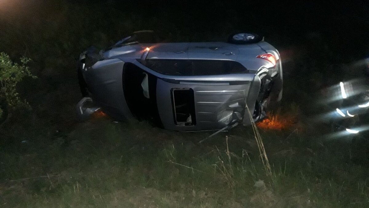     Автомобиль «Чанган» сбил косулю на 26-м километре автодороги Голышманово-Аромашево в третьем часу ночи. От удара машина съехала в кювет и опрокинулась, сообщает ГИБДД Тюменской области.