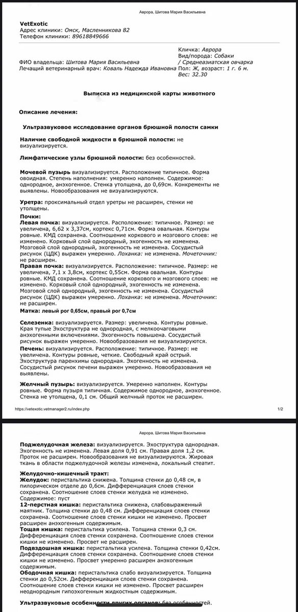 Результаты обследования