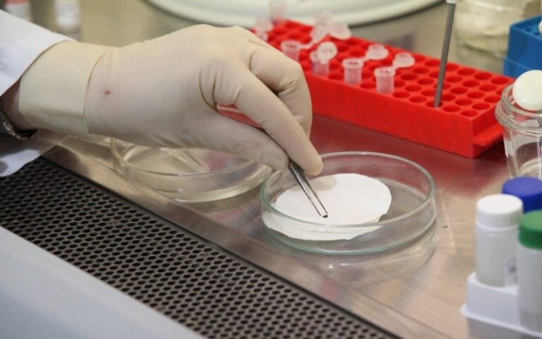    В Оренбуржье выявили первый случай заражения клещевым вирусным энцефалитом Кристина Просвиркина