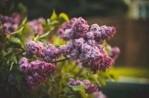    Фото: freepik.com Анна Полякова
