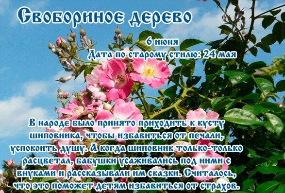 Фото из свободного доступа