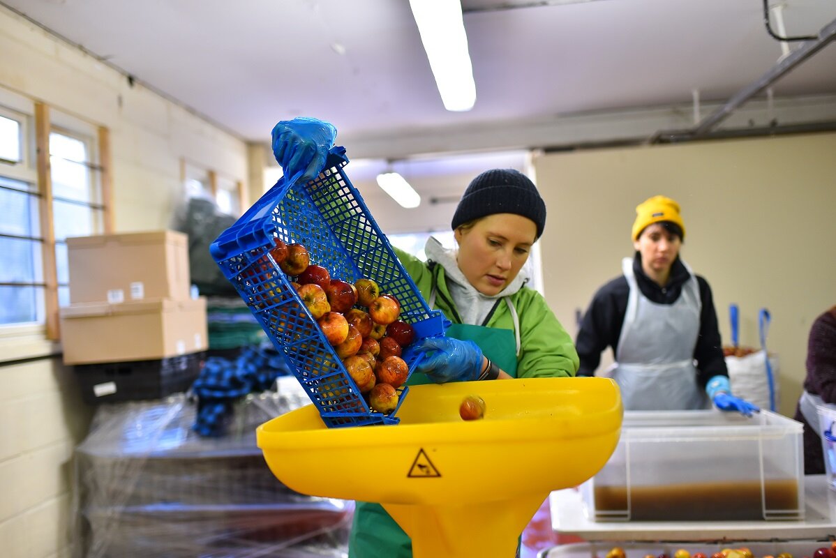 Биохимик Ринк предположил, что могло сделать «Мистер сидр» смертельно ...