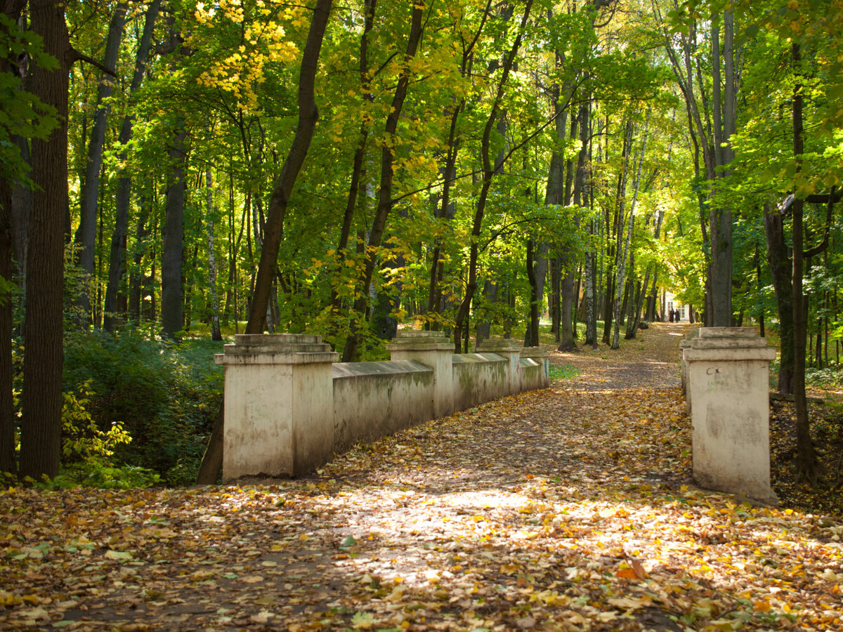 братцево парк