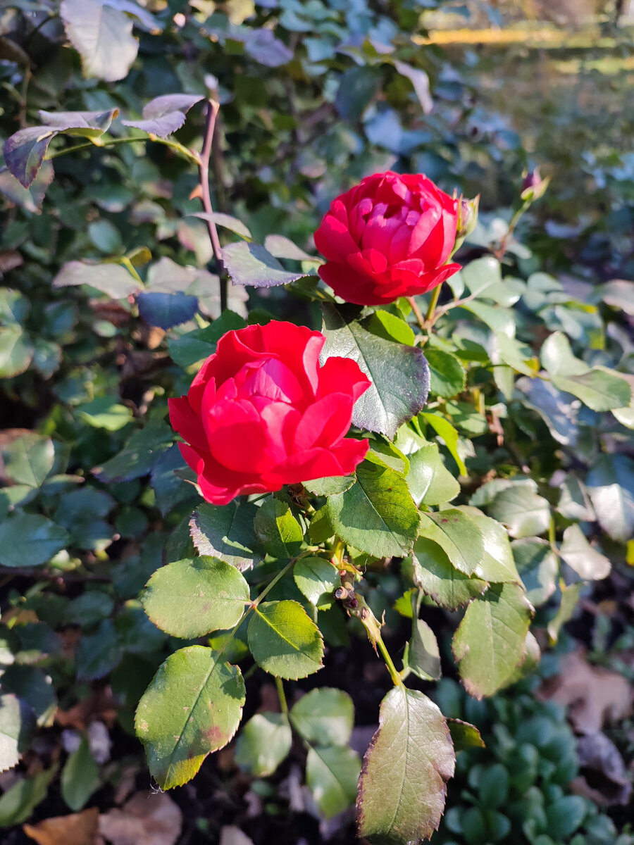 Все фото авторские 