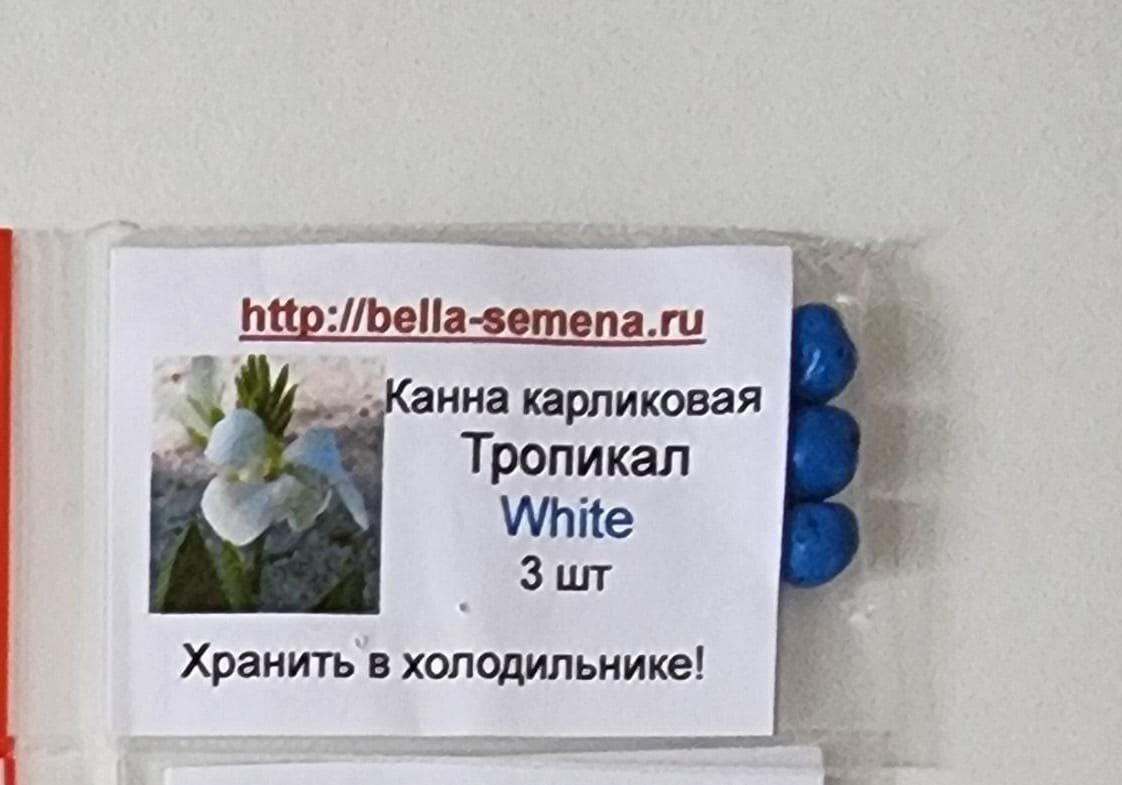 Не хранилась в холодильнике! Что не помешало ей прорасти, 2 из 3, товарищи! Не страйк, но тоже очень даже хорошо