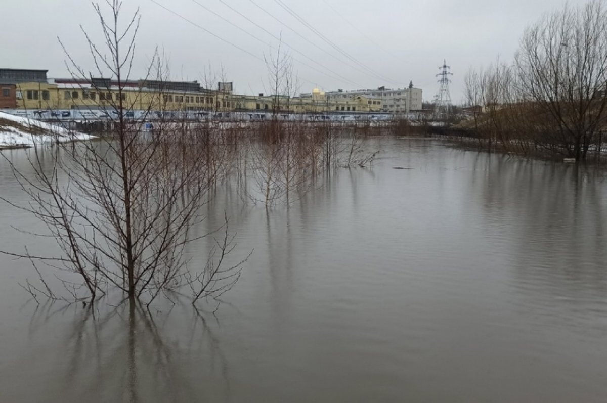    Тульский главк МЧС прогнозирует новые подтопления в регионе