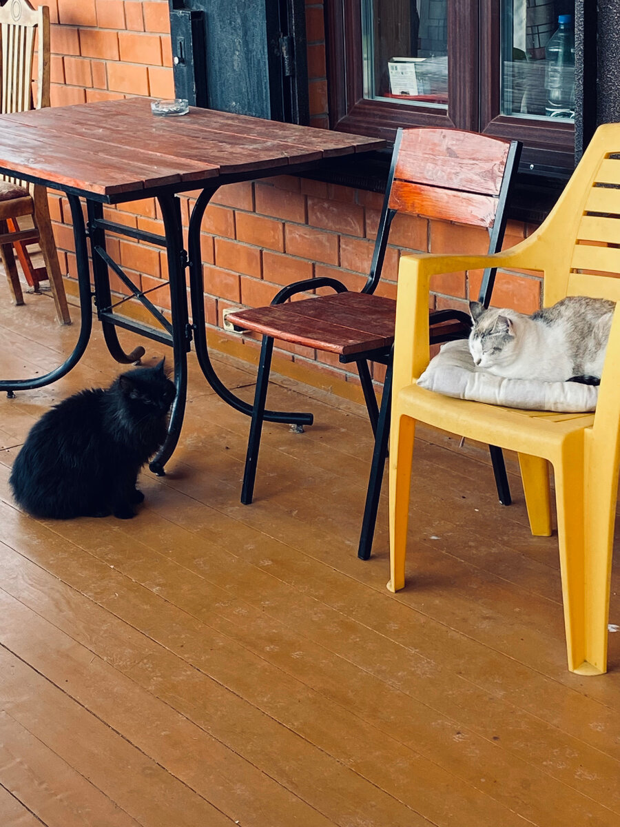 Кузя начал издалека. Везде фото автора.