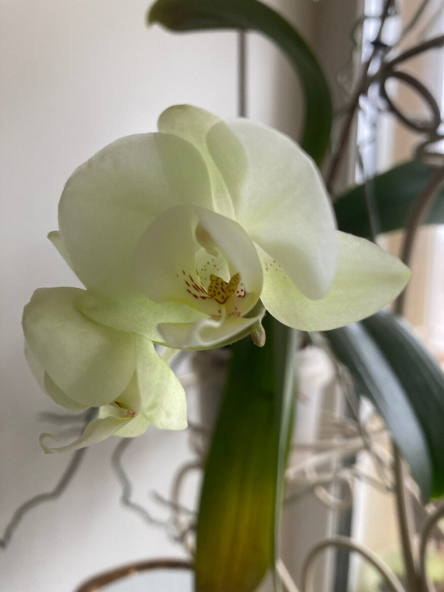 Фото из архива автора.