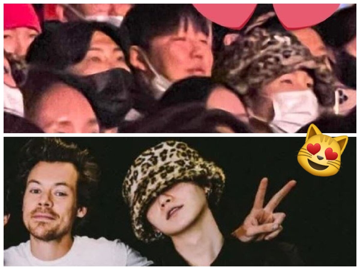 Звезды корея