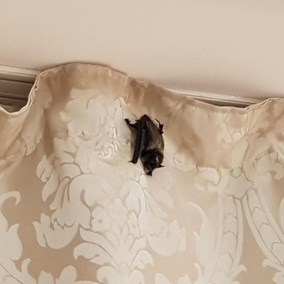 фото из поисковой системы Яндекс