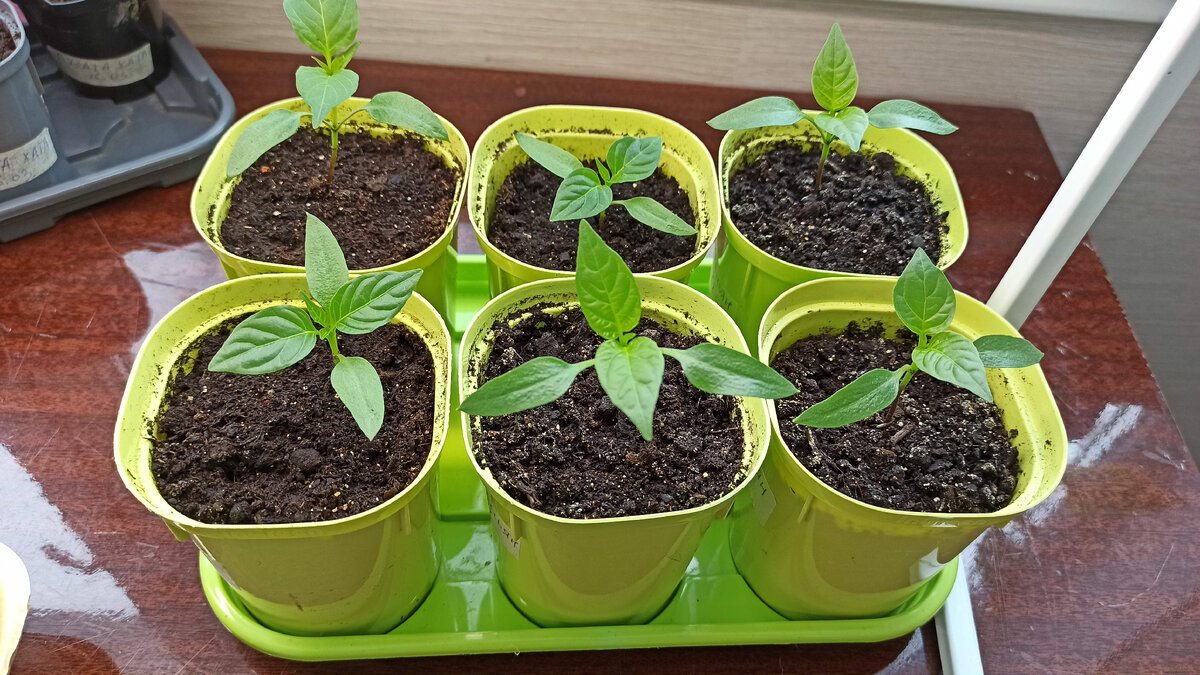 БЫЛО: 18 марта