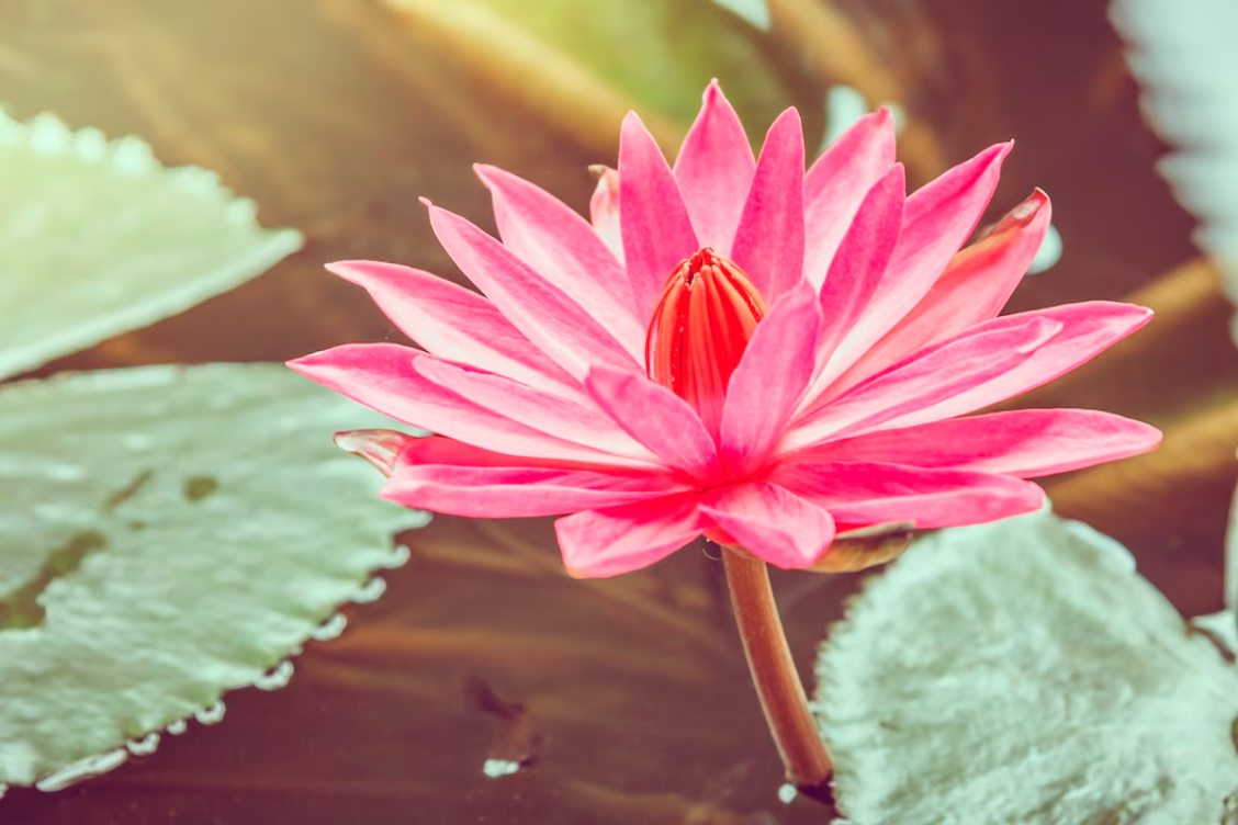 Источник: freepik.com