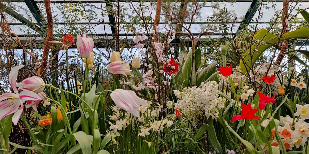 ТОП-5 моих любимых локаций в Москве