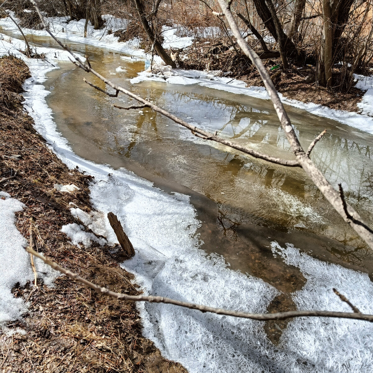 Идешь, и не можешь надышаться. Тепло, свежий воздух, птички поют. Красота. 
