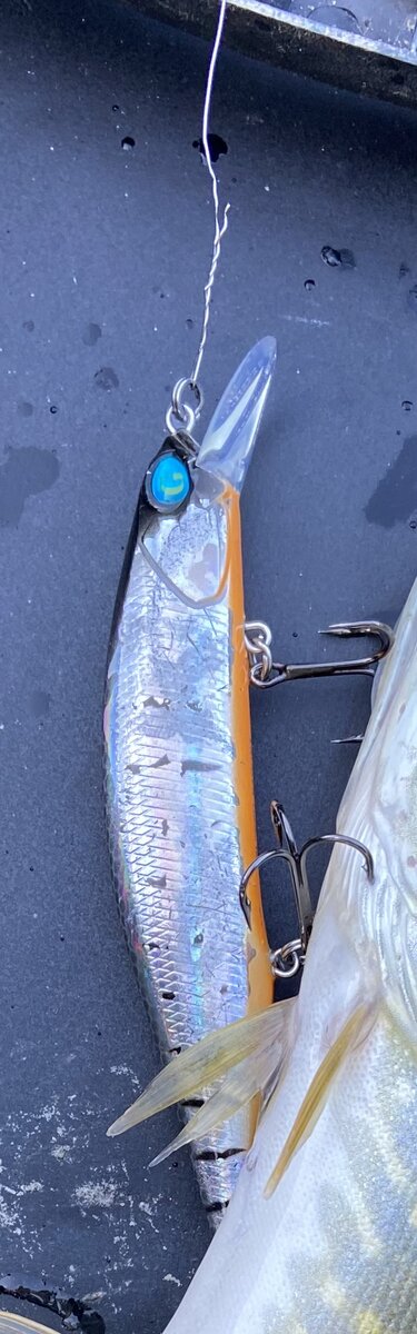 Моя лучшая находка этого сезона - воблер Руслан (или Рустам)!