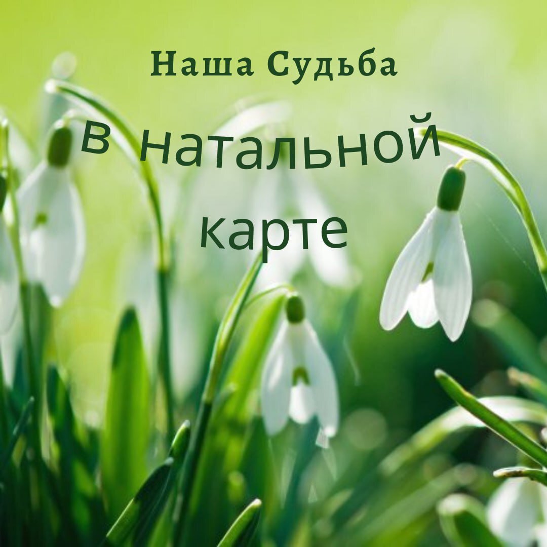 ЗВЕЗДЫ УПРАВЛЯЮТ ЧЕЛОВЕКОМ, А ЗВЕЗДАМИ УПРАВЛЯЕТ БОГ! ( латинское высказывание).

ЧТО МОЖНО УВИДЕТЬ В НАТАЛЬНОЙ КАРТЕ?
Сегодня хочу поговорить с вами об этом.
Я провожу консультации уже более двух лет. За это время рассмотрела почти три тысячи натальных карт. Нет ни одного человека с одинаковой судьбой! И нет ни одного человека, который смог бы кардинально изменить свое предназначение!
Самая большая иллюзия о судьбе - это то, что мы ее делаем сами. Мы можем только в ней что-то изменить, смягчить падения и уменьшить боль, но то, что предначертано, все рано исполнится.

Я очень остро это прочувствовала, когда в сентябре 2022 года, ко мне стали обращаться женщины с просьбой посмотреть вероятность призыва своих сыновей, мужей, братьев.
Я смотрела карты этих ребят и, скажу вам честно, у меня и слезы, и бессонные ночи били от бессилия! Ко мне пришло такое четкое понимание того, что эти мальчишки только родились, а у каждого уже был в натальной карте заложен призыв и то, что некоторые не вернуться. И изменить это невозможно!

Но, не буду о грустном! Радостные события тоже заложены с рождения.
Если вам суждено встретить свою вторую половинку в 30 лет, то, даже если вы вступите в брак раньше, то все равно разойдетесь и судьба приведет вас тому человеку, который уготован свыше.

Так же это работает и в профессиональной сфере. Если вы занимаетесь не своим делом, то ни морального, ни материального удовлетворения вы не получите. Но, стоит поменять место работы, и пошел успех, доход.

Ваше здоровье тоже известно с рождения. В натальной карте заложены все ваши уязвимые места и болезни. Но здесь можно что-то изменить! Если вовремя обратить внимание на проблемные зоны и пройти обследование, то болезнь пройдет гораздо легче. В моей практике есть четыре человека (это те, кто после обследования мне написал), которым я спасла жизнь, подтолкнув к обследованию.

НО! Какое бы воспитание и образование вы не получили, у судьбы на вас свои планы. И эти планы написаны в натальной карте!
Этот сценарий написан не вами, но играть все же вам!

У кого возникнет желание разобраться в своей судьбе, обращайтесь! Буду рада быть вам полезной! https://vk.com/astrolog_elena_isaeva
