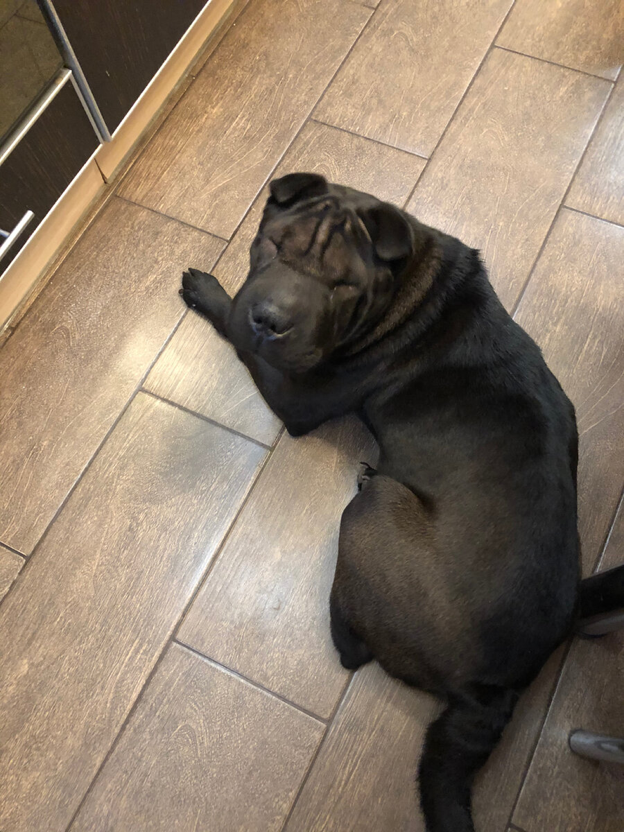 Лиза приехала к нам.