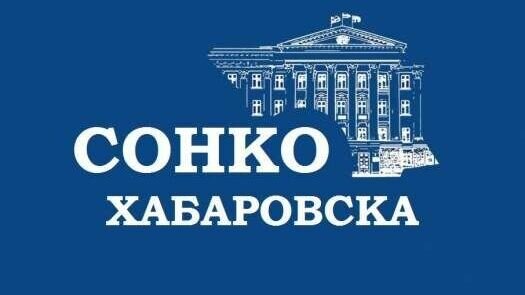     В конкурсе на грантовую поддержку от администрации краевого центра соревнуются 37 программ и проектов СОНКО.