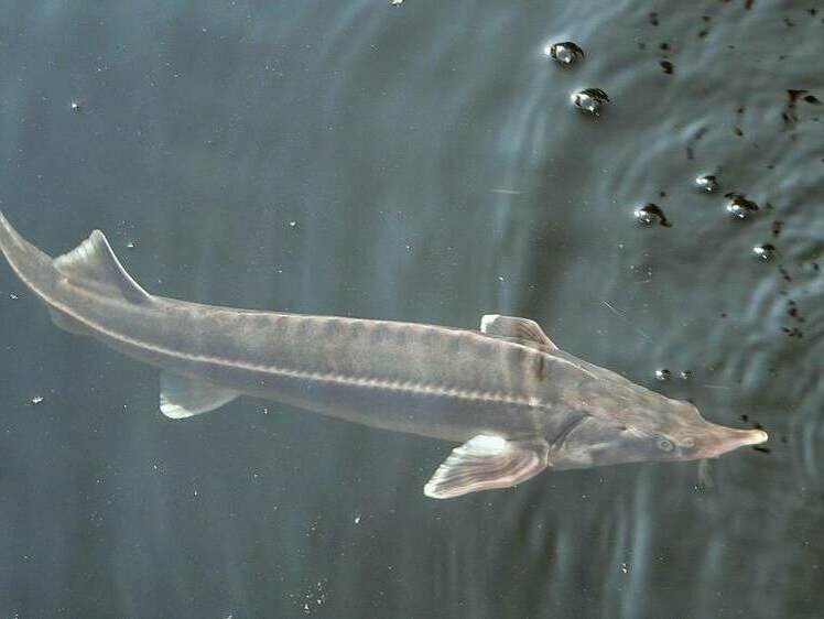     Фото Елена Минашкина/Московский комсомолец