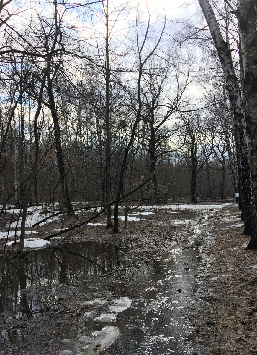 Ручьи текут….