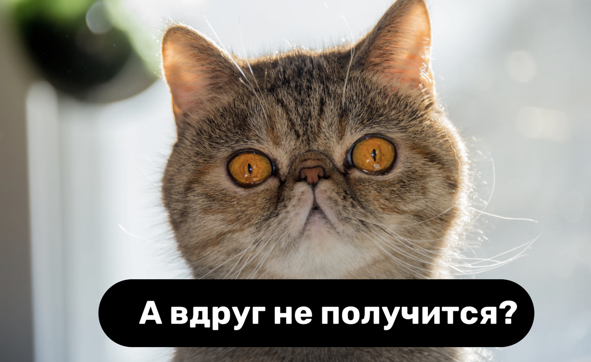 Автор фото Dan Wayman