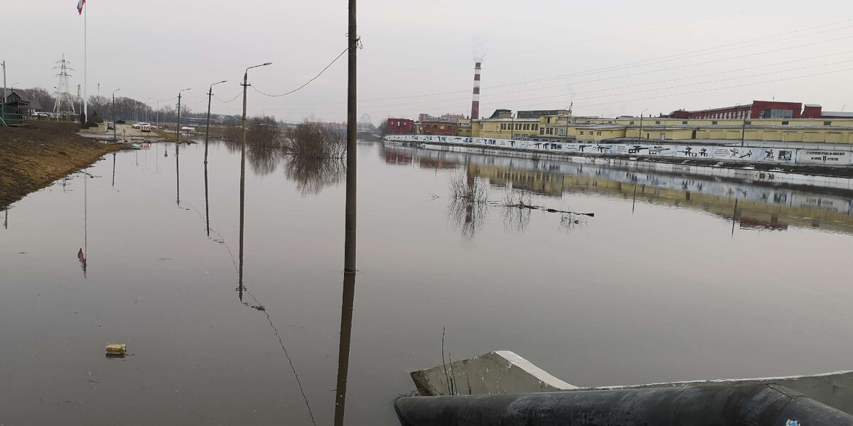 Уровень воды в упе тула сегодня