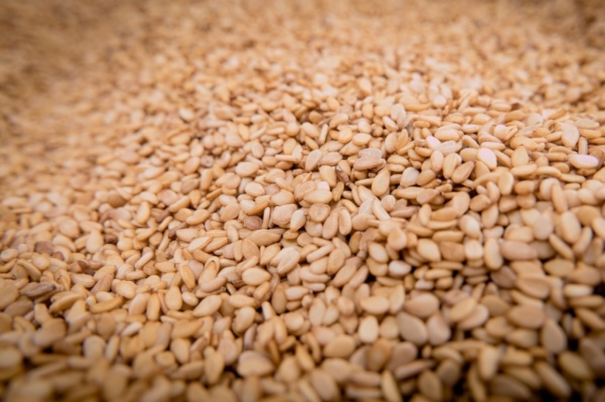    Неразрешенные семена овощей продавал предприниматель в Хабаровске