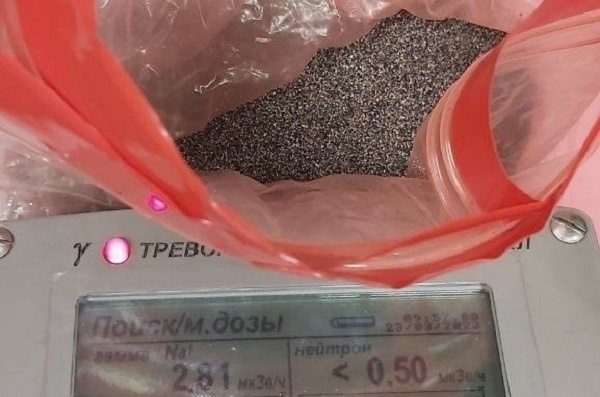 Фото: Пресс-служба таможни аэропорта Домодедово