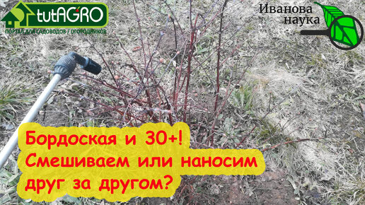 ИСКОРЕНЯЮЩАЯ ОБРАБОТКА ЗА 1 РАЗ. Смешивание препарата 30+ и бордоской ...