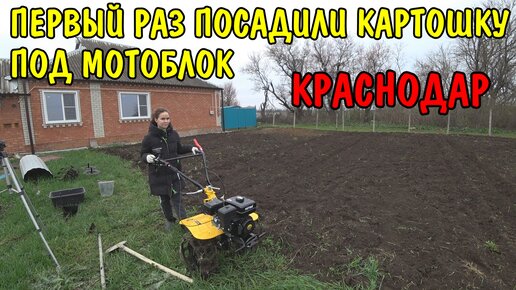 ПЕРВЫЙ РАЗ САДИМ КАРТОШКУ / ВСПАХАЛ ОГОРОД МОТОБЛОКОМ / СКОСИЛ ТРАВУ ...