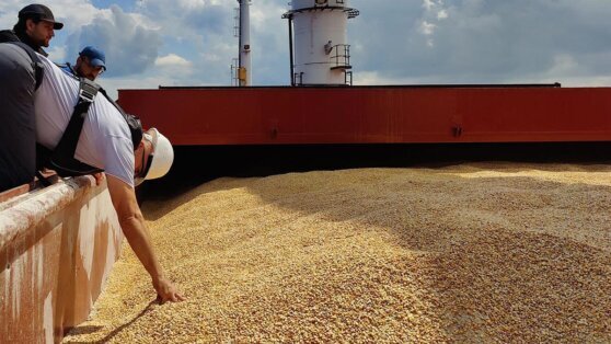    СМИ: экспорт зерна из РФ прекратит один из крупнейших в мире поставщиков Сергей Бунеев