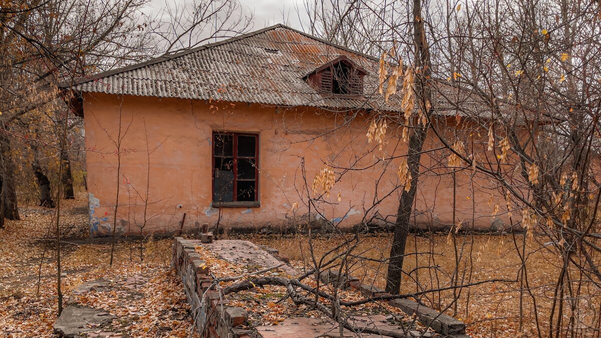 Нас отговаривали и пугали призраками, но толку? Гуляем по заброшенному пионерлагерю в мрачном осеннем лесу!