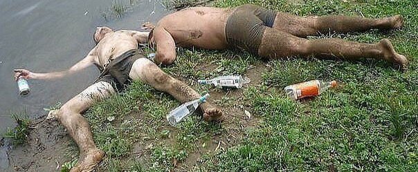 Из открытых источников сети интернет