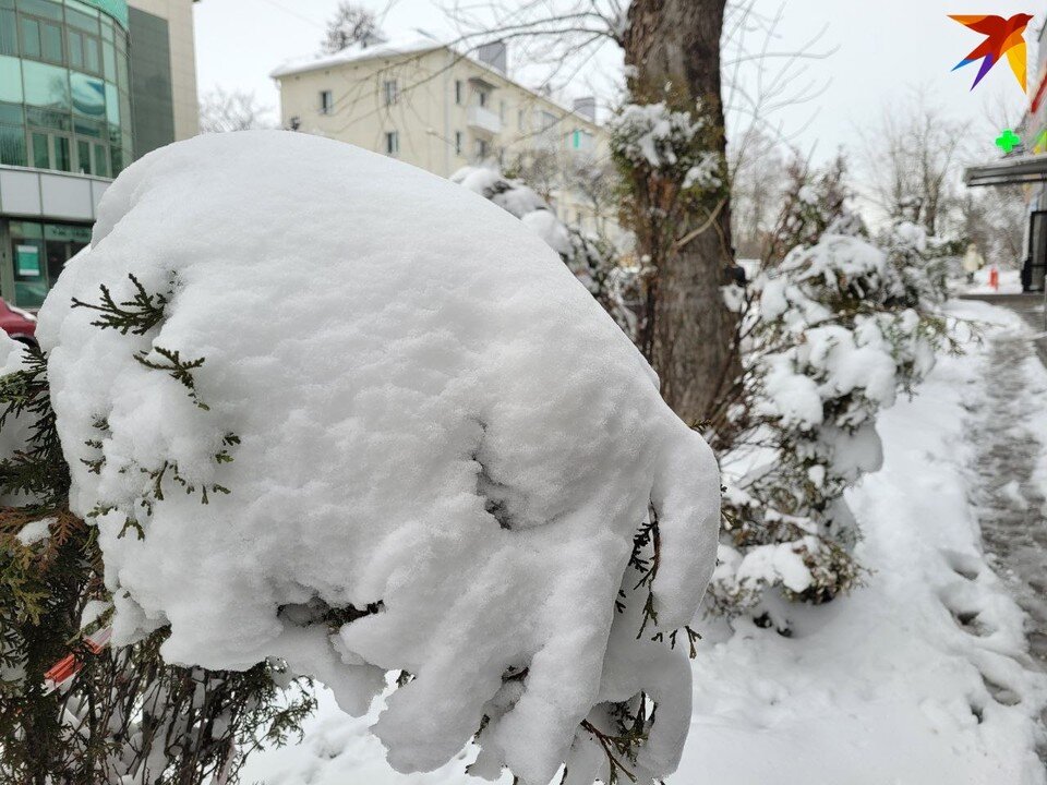     Сильный снегопад стал причиной множества перебоев с электроэнергией. Фото: носит иллюстративный характер. Архив «КП».