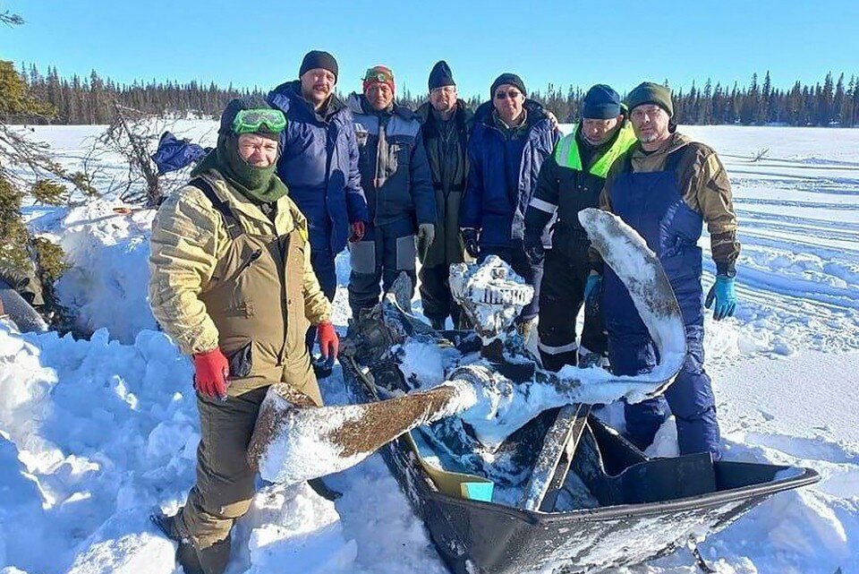     Поисковые отряды из Татарстана обнаружили в Мурманской области фрагменты самолета, который пропал в 1943 году. Фото: t.me/opershtab_murmansk