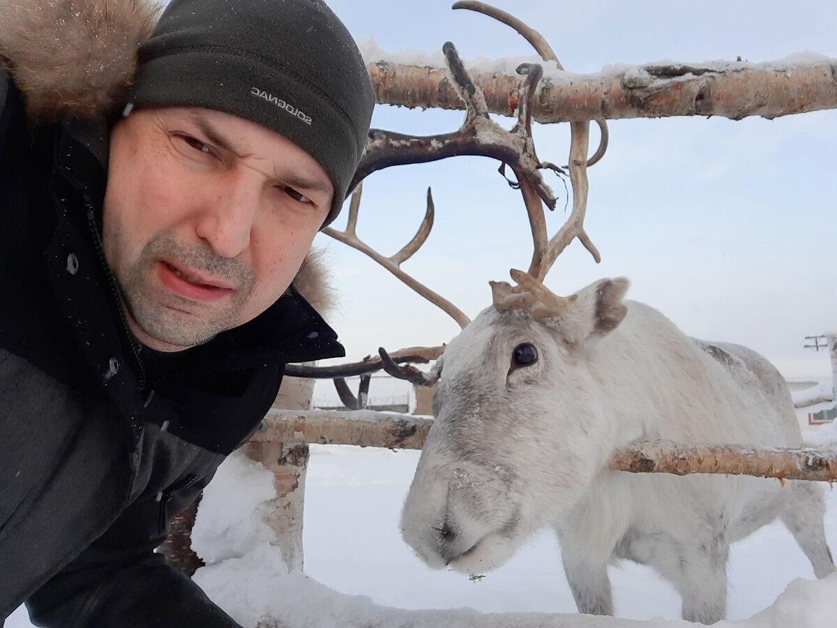 Заполярный вальс