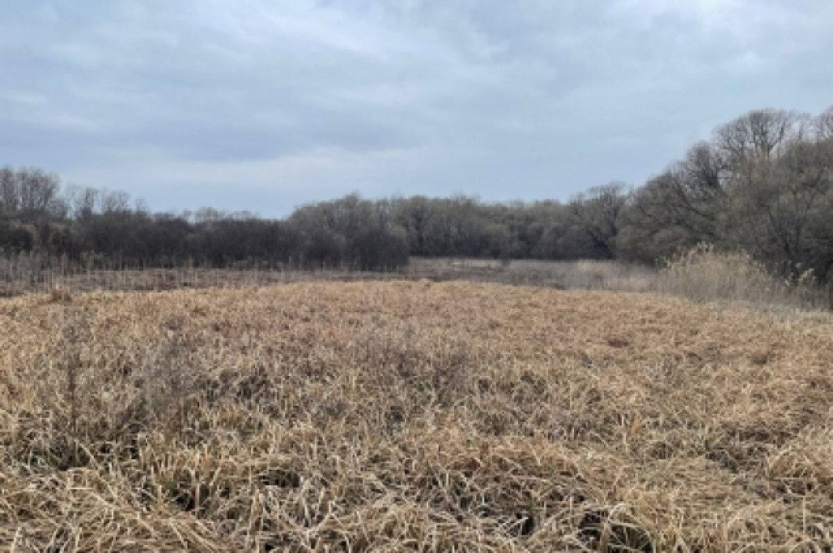    В Пензенской области нашли тело мужчины, пропавшего почти 8 месяцев назад