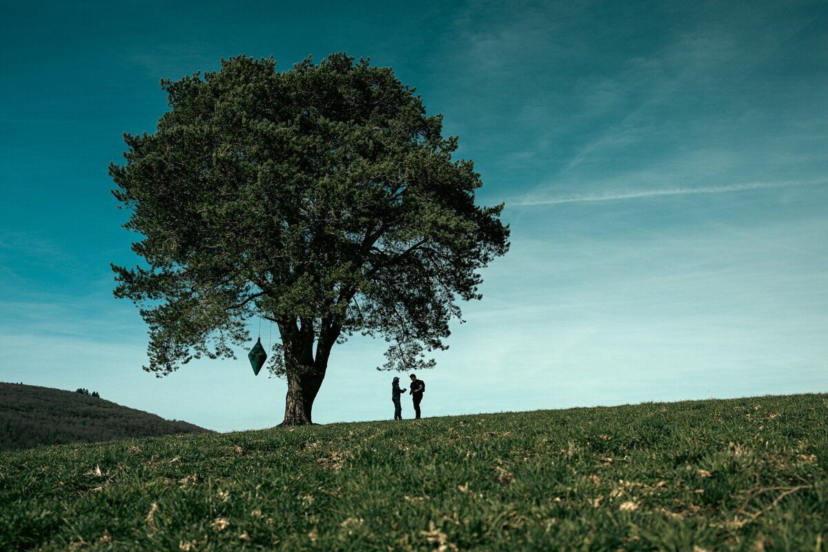 Картинка с бесплатного фотостока https://unsplash.com, автор Charles Puaud