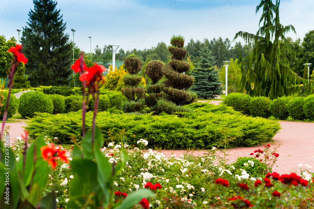 фото взято из сайта stock.adobe.com/ru

