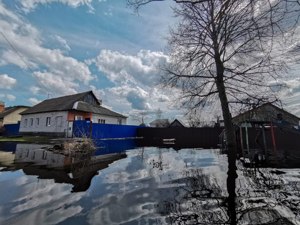 В Брянской области из-за половодья под угрозой затопления оказались 290  домов | Брянская губерния | Дзен