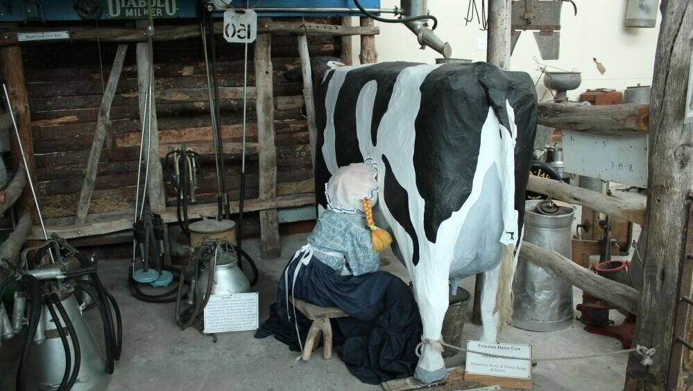     Сыр с голубой плесенью — это вкусно и полезно. Однако если есть такой сыр каждый день в больших количествах, можно получить обратную реакцию. Микрофлора кишечника очень чутко реагирует даже на «благородную» плесень, сообщил RostovGazeta директор пищевого вуза в Ростове Александр Нечушкин.