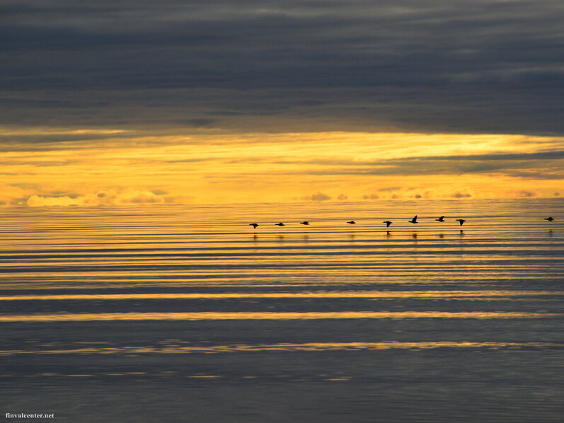 В такие моменты ощущение появляется ощущение нереальности происходящего... (Листайте галерею)