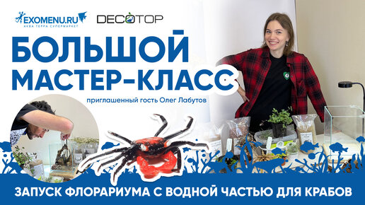 Оформление красивого акватеррариума для красных дьяволов - Geosesarma 🦀