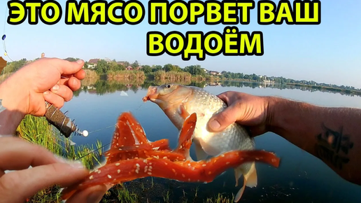 Популярное сегодня